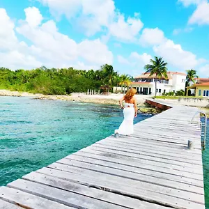 The Queen Of House -luxury Beachfront Villa- Million Dollars View Cozumel