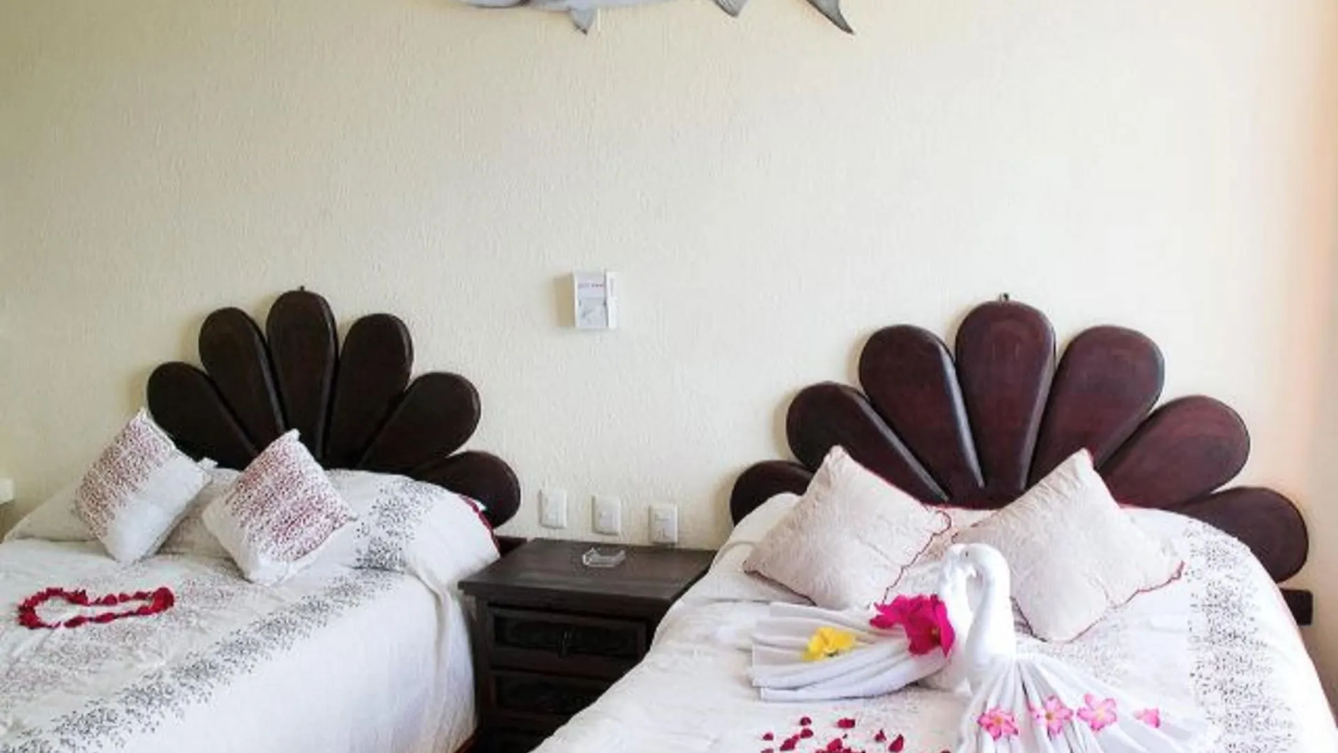 Hotel Barracuda Cozumel