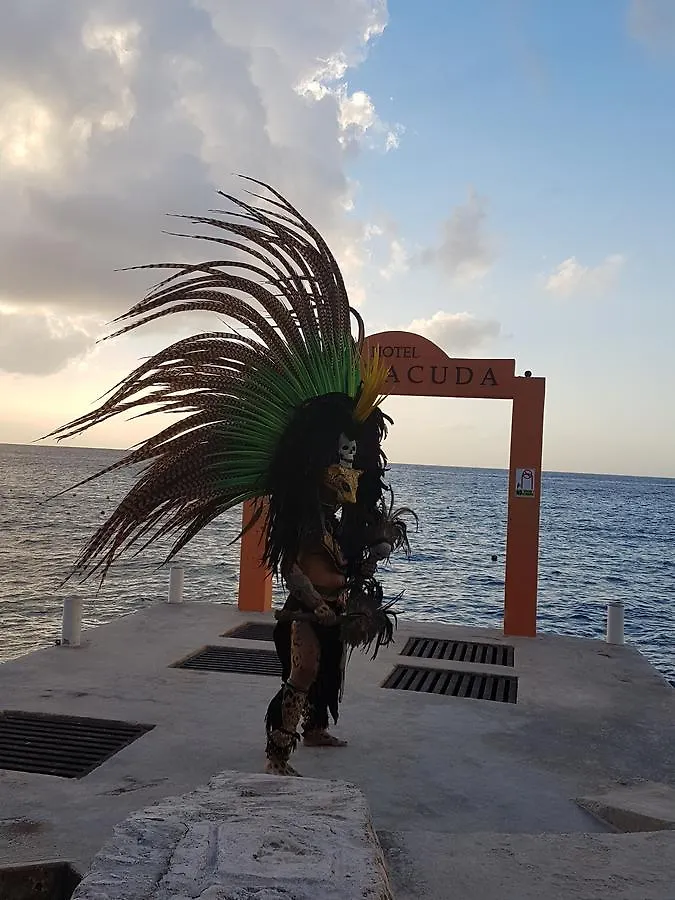 Hotel Barracuda Cozumel